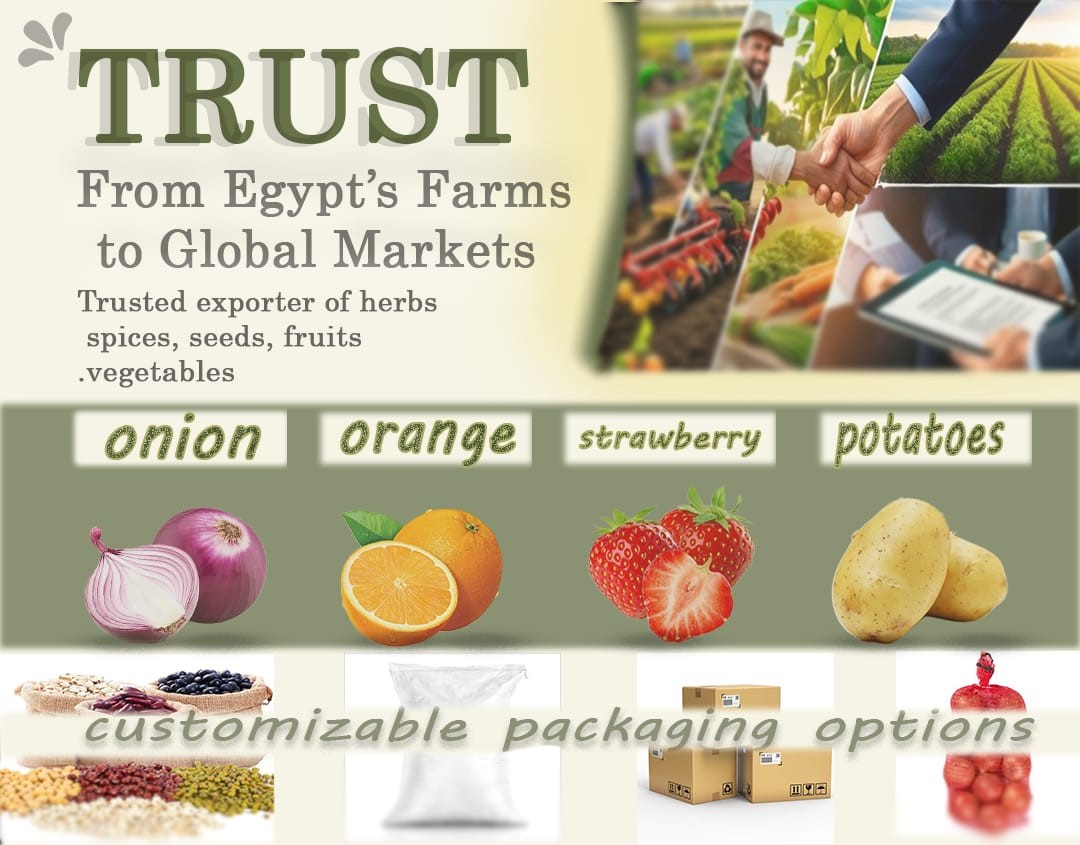 Trust – From Egypt's Farms to Global Markets